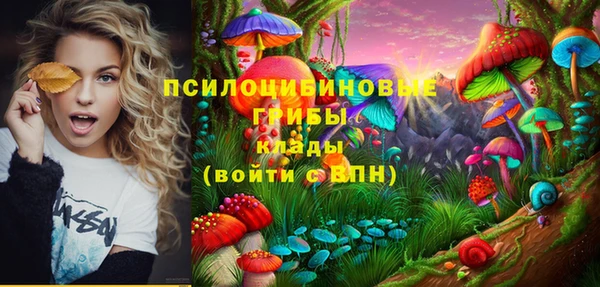 мдма Михайловск