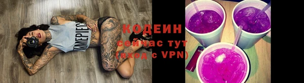дмт Горняк