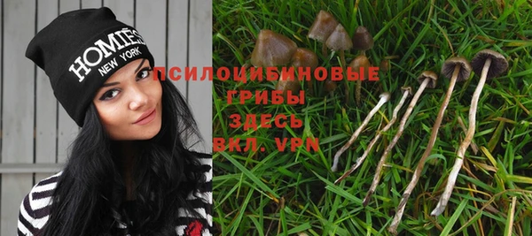 дмт Горняк