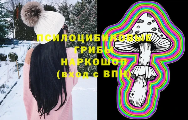 дмт Горняк