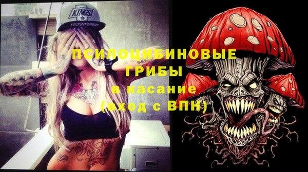 соль курить ск Горно-Алтайск